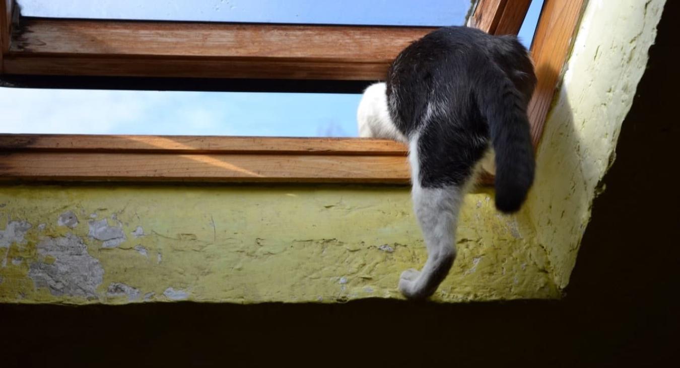 Fenêtres de toit & Velux 89 Yonne