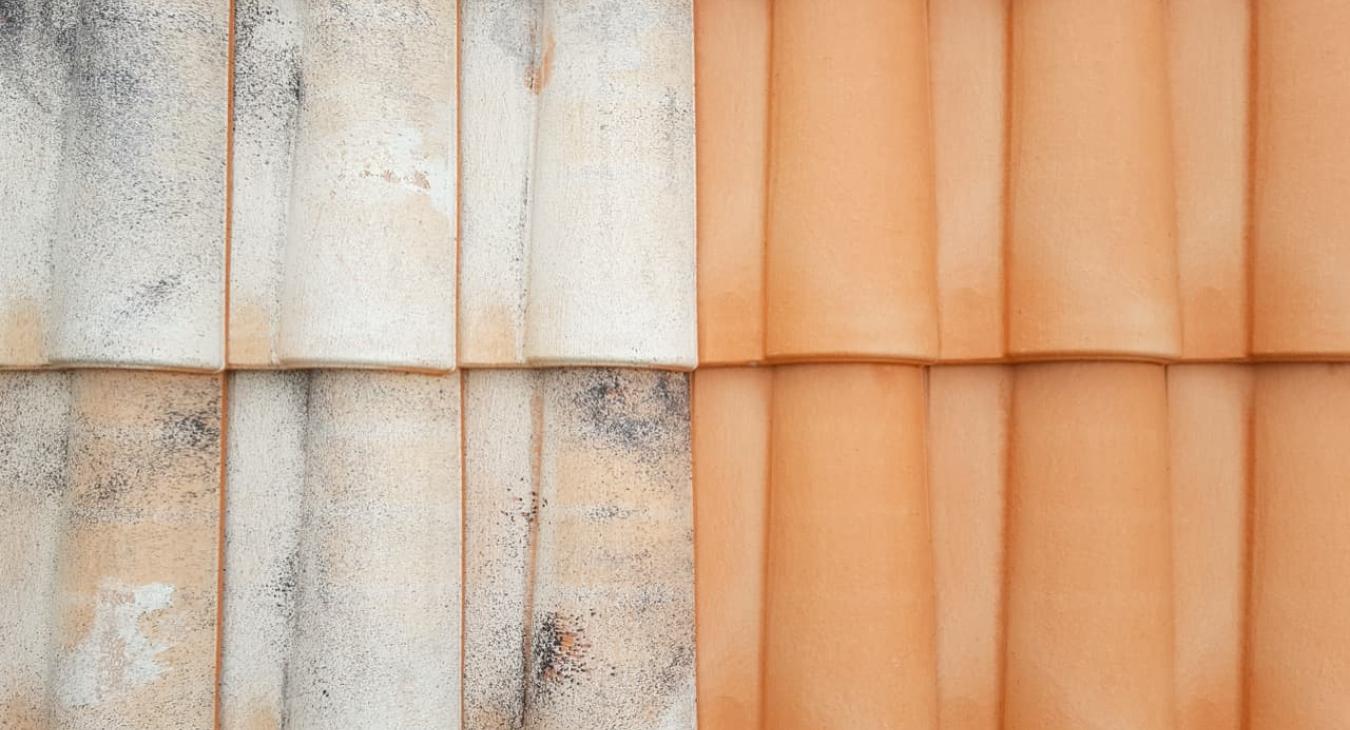 Nettoyage de toiture, Peinture & Hydrofugation de toit 89 Yonne