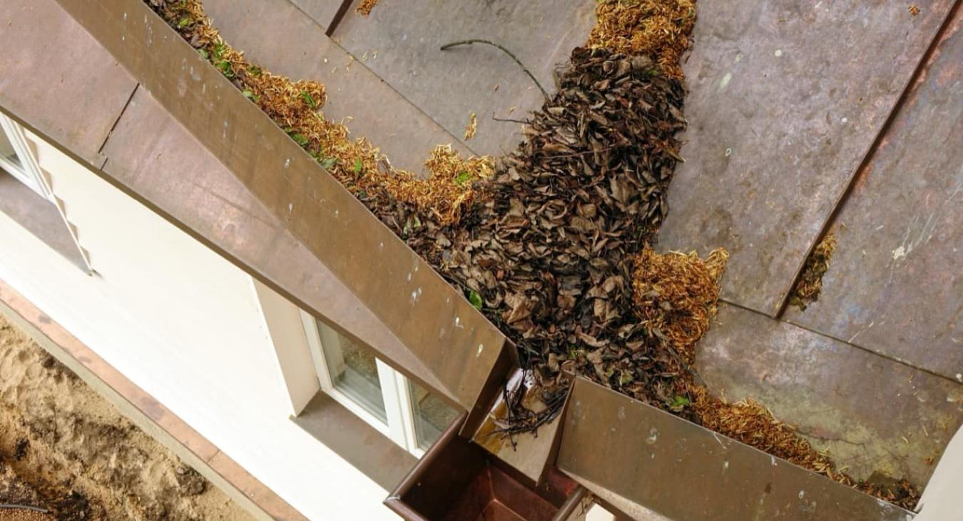 Nettoyage de toiture, Peinture & Hydrofugation de toit 89 Yonne